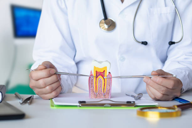Best Emergency Treatment for Dental Infections or Abscesses in Cottonwood, MN